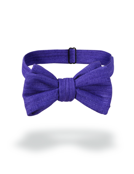 Noeud papillon violet